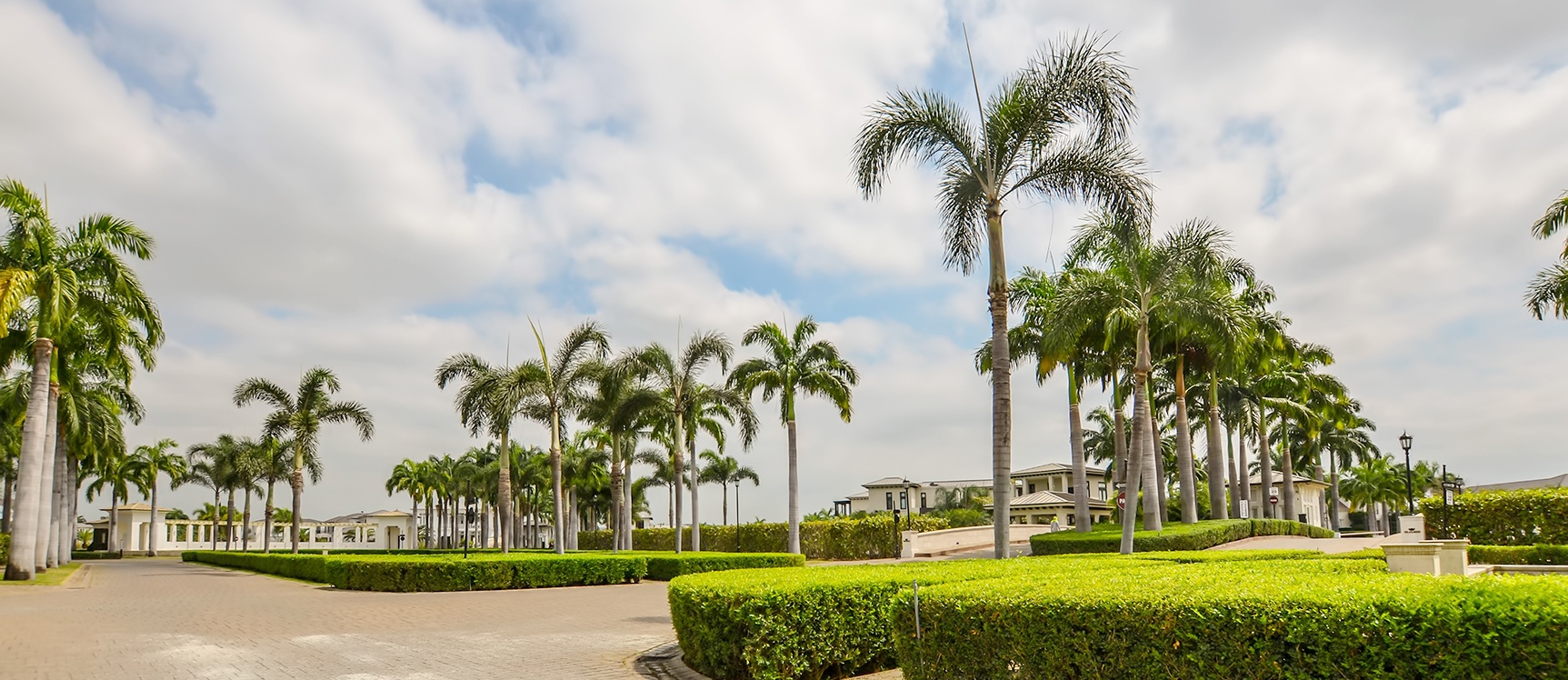 Terreno en venta en Río Lago sector Vía Samborondón GeoBienes - Terreno en venta en Ríolago sector Vía Samborondón - Plusvalia Guayaquil Casas de venta y alquiler Inmobiliaria Ecuador