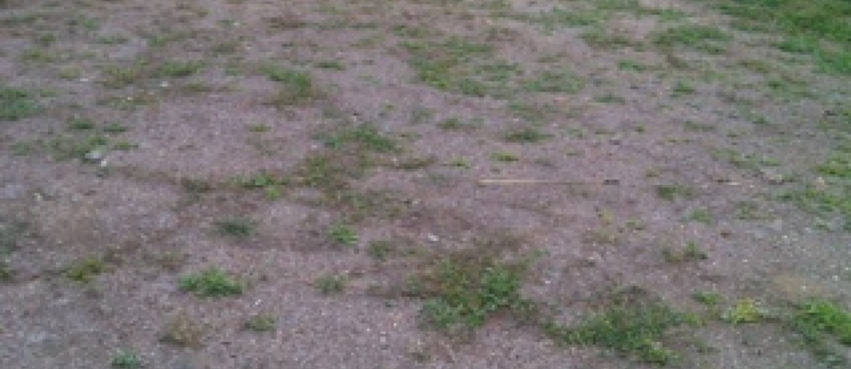 Vendo Terreno en Ciudad Celeste GeoBienes - Vendo Terreno en Ciudad Celeste - Plusvalia Guayaquil Casas de venta y alquiler Inmobiliaria Ecuador