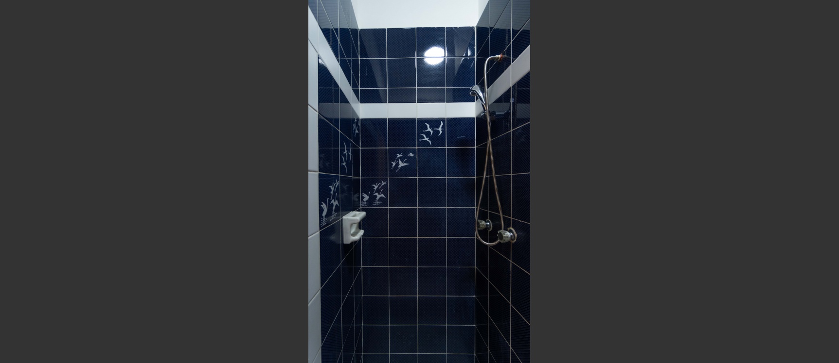 Venta de casa rentera en Barrio del Seguro, sur de Guayaquil GeoBienes - Venta de casa rentera en Barrio del Seguro, sur de Guayaquil - Plusvalia Guayaquil Casas de venta y alquiler Inmobiliaria Ecuador