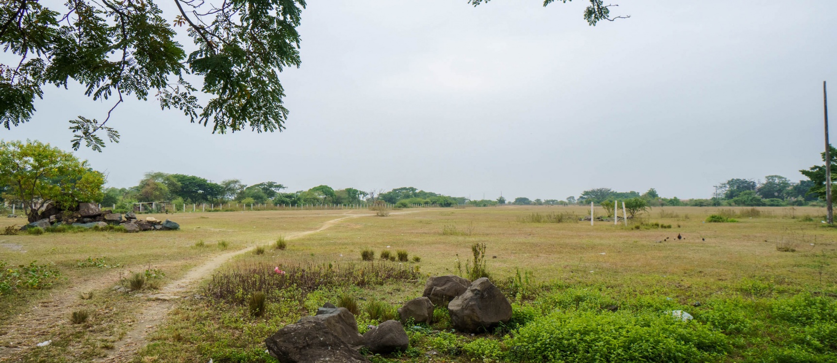 Venta de terreno ubicado en Vía Salitre, Cantón Daule GeoBienes - Venta de terreno ubicado en Vía Salitre, Cantón Daule - Plusvalia Guayaquil Casas de venta y alquiler Inmobiliaria Ecuador