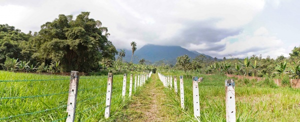 Lotización en venta ubicado en Altos de Bucay