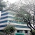 Alquiler de oficinas en Guayaquil. Ubicación estratégica local comercial y oficina en alquiler GeoBienes - Alquiler de oficinas en el sector Carlos J. Arosemena, Guayaquil - Plusvalia Guayaquil Casas de venta y alquiler Inmobiliaria Ecuador