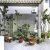 GeoBienes - Casa en venta en Urbanización Milann vía a Samborondón - Plusvalia Guayaquil Casas de venta y alquiler Inmobiliaria Ecuador GeoBienes - Casa en venta en Urbanización Milann vía a Samborondón - Plusvalia Guayaquil Casas de venta y alquiler Inmobiliaria Ecuador