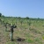 Hacienda en venta ubicada en San Lorenzo del Mate GeoBienes - Hacienda en venta ubicada en San Lorenzo del Mate - Plusvalia Guayaquil Casas de venta y alquiler Inmobiliaria Ecuador