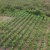 Hacienda en venta ubicada en Santa Elena GeoBienes - Hacienda en venta ubicada en Santa Elena - Plusvalia Guayaquil Casas de venta y alquiler Inmobiliaria Ecuador