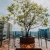 Oficina en alquiler Edificio Equilibrium, zona Mall del Sol, Norte de Guayaquil GeoBienes - Oficina en alquiler Edificio Equilibrium, zona Mall del Sol, Norte de Guayaquil - Plusvalia Guayaquil Casas de venta y alquiler Inmobiliaria Ecuador