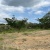 Solar en venta ubicado en Lomas del Bosque, Vía a la Costa GeoBienes - Solar en venta ubicado en Lomas del Bosque, Vía a la Costa - Plusvalia Guayaquil Casas de venta y alquiler Inmobiliaria Ecuador
