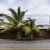 Suite en alquiler en Ceibos Norte Guayaquil GeoBienes - Suite en alquiler en Ceibos Norte Guayaquil - Plusvalia Guayaquil Casas de venta y alquiler Inmobiliaria Ecuador