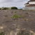 Terreno en venta ubicado en Casa del Sol, Ayangue, Ruta del Spondylus GeoBienes - Terreno en venta ubicado en Casa del Sol, Ayangue, Ruta del Spondylus - Plusvalia Guayaquil Casas de venta y alquiler Inmobiliaria Ecuador