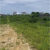 Terreno en venta ubicado en Punta Blanca, Santa Elena GeoBienes - Terreno en venta ubicado en Punta Blanca, Santa Elena - Plusvalia Guayaquil Casas de venta y alquiler Inmobiliaria Ecuador
