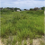 Terreno en venta ubicado en Punta Blanca, Santa Elena GeoBienes - Terreno en venta ubicado en Punta Blanca, Santa Elena - Plusvalia Guayaquil Casas de venta y alquiler Inmobiliaria Ecuador