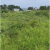 Terreno en venta ubicado en Punta Blanca, Santa Elena GeoBienes - Terreno en venta ubicado en Punta Blanca, Santa Elena - Plusvalia Guayaquil Casas de venta y alquiler Inmobiliaria Ecuador