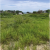 Terreno en venta ubicado en Punta Blanca, Santa Elena GeoBienes - Terreno en venta ubicado en Punta Blanca, Santa Elena - Plusvalia Guayaquil Casas de venta y alquiler Inmobiliaria Ecuador