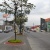 Terreno en venta Urdenor sector norte GeoBienes - Terreno en venta en Urdenor sector norte - Plusvalia Guayaquil Casas de venta y alquiler Inmobiliaria Ecuador